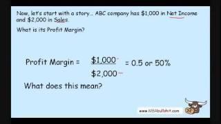  Profit Margin Ratio in 9 minutes - How to Calculate Financial Ratio Analysis Tutorial