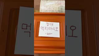 이거 동생 참교육 실패인가요..?