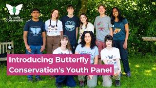 Introducing Butterfly Conservation's Youth Panel