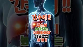 간수치 높아지는이유와증상 해결 방법 공개 간건강   !#주의#간수치