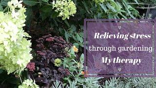 Relieving stress through gardening :: My therapy