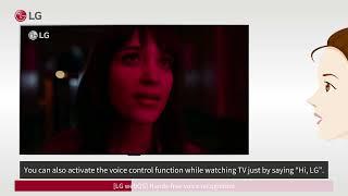 [LG TVs] Using Voice Control