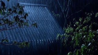 Sleep Instantly with Heavy Rain & Terrible Thunder at Night - Rain Sounds on a Tin Roof for Sleeping