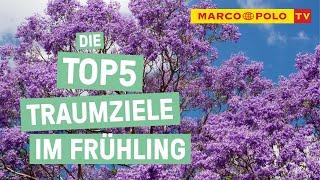 Springtime! - Die Top 5 Traumziele für den Frühling