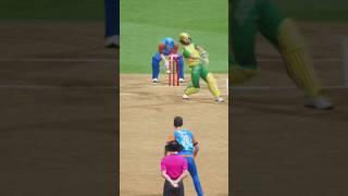 AWESOME WICKET IN DREAM CRICKET!