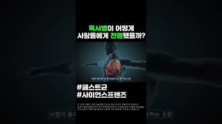 흑사병이 어떻게 사람들에게 전염됐을까? #shorts