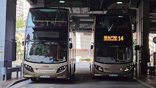 Hong Kong Bus KMB ATENU15 @ 14 九龍巴士 Alexander Dennis Enviro500 MMC 鯉魚門邨 - 中港碼頭