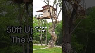 Amazing Tiny Home Treehouse Airbnb 50ft Up In The Air!