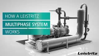 Multiphase System by Leistritz - How does it work?