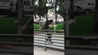Stephen Lawyer Ollie Board-Bonk? | Skate Nerd #skateboarding