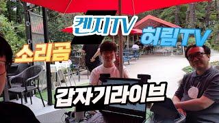 내 사이트를 살리는 법 - 켄지TV, 허림TV, 소리곰 갑자기라이브