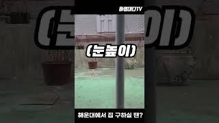 옥탑방? 반지하? 상관없어! 싼 집이면 돼!!