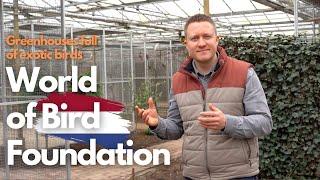 Greenhouses full of Parrots - World of Birds Foundation in The Netherlands - Budgerigars & More