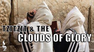 Tzitzit & The Clouds of Glory | Shelach  | Aliyah 6