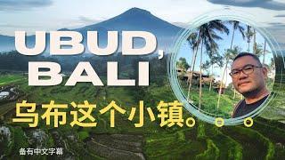 Ubud Bali Vlog #day 4 在乌布的第四天，什么是巴厘岛特色食物？错过了肯定后悔的咖啡？会疗愈人的鸭子 #ubud #ubudtravelvlog #thingstodoinubud