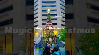 Magic of Christmas in Sydney  ️#Sydney #Australia #Christmas #celebration #travel #trending #fyp