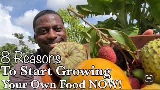 8 Reasons You Need To Start Growing Your Own Food