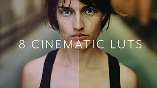 8 Cinematic LUTs Pack by Mathieu Stern ( ZOOLOGY)