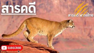 สารคดีท่องโลกกว้าง แดนธรรมชาติแคลิฟอร์เนีย ตอน แม่น้ำแห่งทองคำ | สารคดีพากย์ไทย สารคดีสัตว์โลก