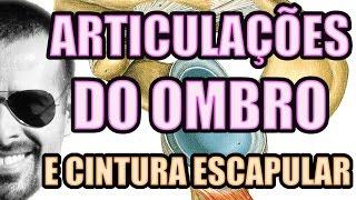 Vídeo Aula 118 - Anatomia Humana: Articulação do Ombro, Cintura Escapular e Síndrome do Impacto