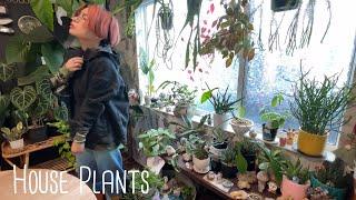 【季節の変わり目こそ管理´-】植物のある暮らし/ガーデニング/インドアグリーン/houseplants/観葉植物インテリア/ボタニカルライフ/관엽 식물