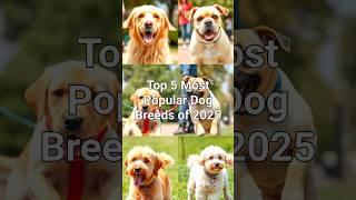 "Top 5 Dog Breeds of 2025: Which One is Your Favorite?" #TopDogs2025 #DogLovers #BestDogBreeds