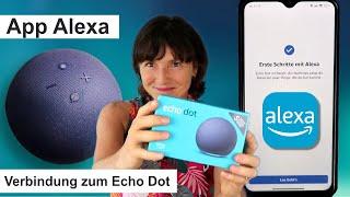 App Alexa installieren und mit dem Echo Dot verbinden. Alexa für Seniorinnen und Senioren.