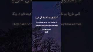 qurantranslation- quran forever #quran #shorts #youtubeshorts