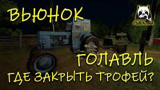 Русская рыбалка 4. рр4. Вьюнок. Джиг. Где закрыть трофей голавля.