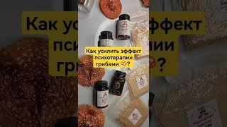 Как усилить эффект психотерапии грибами ?  #микродозингмухомора #ежовик