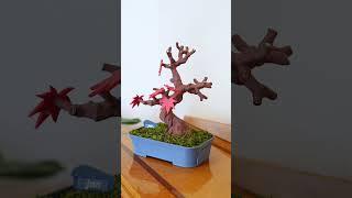 This Bonsai Tree Tells You the Date