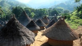 Cafe Kogi - Über den vielleicht nachhaltigsten Kaffee der Welt