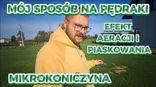 #POT 1 Powolny Obchód Trawnika SPOSÓB NA PĘDRAKI Trawnik z MIKROKONICZYNĄ Efekt aeracji, piaskowania