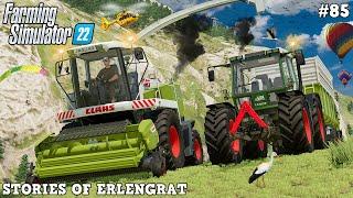 MULTIPLAYER - DANGEROUS GRASS HARVEST ON STEEP MEADOWS!  | Erlengrat | FS22 | Timelapse #85