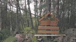 Caledonian Escape Cabin | Quality Unearthed | Invergarry | Scotland |