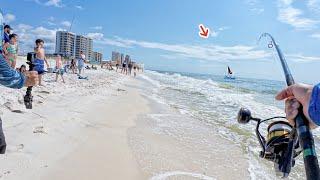 Fisherman's Crazy Beach Catch Draws A Crowd!