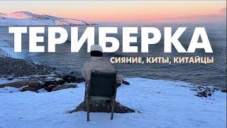 Териберка за 24 часа: сияние, киты и что нужно знать перед поездкой на крайний север