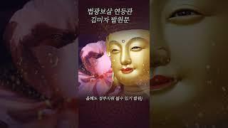 법광보살 연등관 김미자 발원문- 안양 수리산 용화사