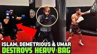 Islam Makhachev, Demetrious Johnson And Umar Heavy Bag Training (NEW VIDEO)