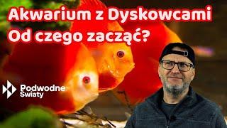 Akwarium z dyskowcami. Od czego zacząć?