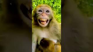 new funny video #new #viralvideo #scomedy