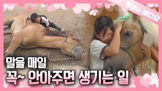 1년 만에 과 교감하는 11살 최연소  트레이너의 사랑️┃The Youngest Horse Trainer ️