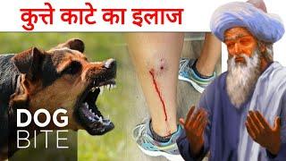 कुत्ता काट ले तो क्या करना चाहिए? || First Aid For Dog Bit || dogbite #dog