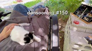 Dansoonlog 150 What happens when a kitten comes to a small house in the countryside