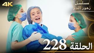 الحلقة 228 | مسلسل زهور الدم | مدبلج بالعربية | Kan Çiçekleri | جودة 4K