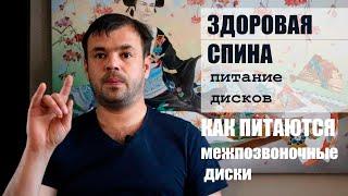 Здоровая спина! Как обеспечить питание межпозвоночных дисков