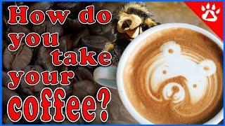 English Speaking Practice: Coffee Talk || Sound Like a Native Speaker