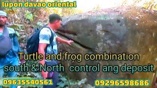 turtle and frog combination south & north control ang deposit