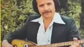 Mehmet Bozdoğan Karşıdan sallanıp gelen güzele