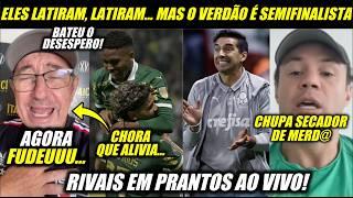 DUVIDARAM DO PALMEIRAS O GUERREIRO QUE TODOS CONTAVAM COMO DERROTADO CHEGOU....